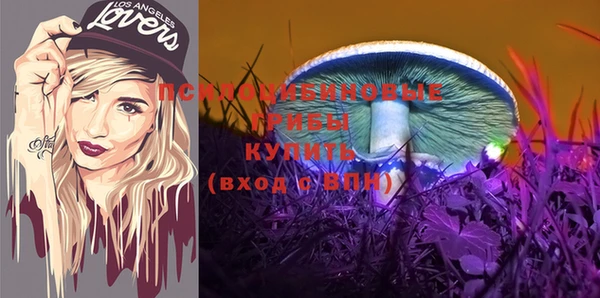 спайс Няндома
