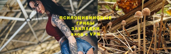 трава Абинск