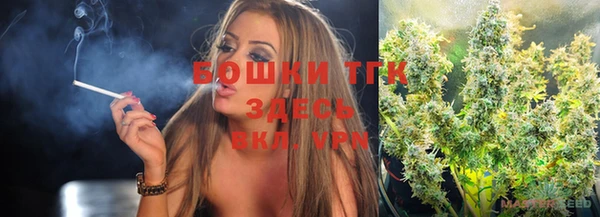 спайс Няндома