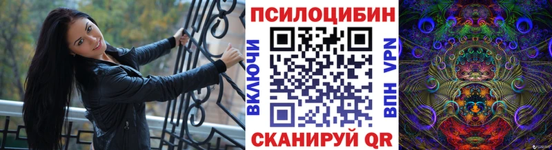 ОМГ ОМГ онион  сколько стоит  Эртиль  Псилоцибиновые грибы Magic Shrooms 